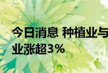 今日消息 种植业与林业板块异动拉升 永安林业涨超3%