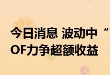 今日消息 波动中“高抛低吸”，上半年公募FOF力争超额收益