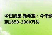 今日消息 新希望：今年预计能繁母猪出栏1400万头 明年冲刺1850-2000万头