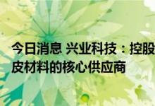 今日消息 兴业科技：控股子公司宏兴汽车皮革是理想汽车真皮材料的核心供应商