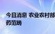 今日消息 农业农村部：消毒类产品不属于农药范畴