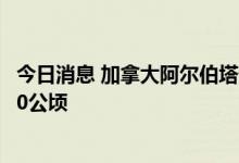 今日消息 加拿大阿尔伯塔省发生大型野火 过火面积或达8000公顷