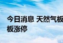 今日消息 天然气板块再度走强 德龙汇能两连板涨停