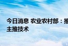 今日消息 农业农村部：推介发布2022年粮油生产主导品种主推技术