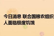 今日消息 联合国粮农组织：撒哈拉以南非洲地区有超2.82亿人面临极度饥饿