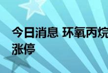 今日消息 环氧丙烷板块异动拉升 红宝丽一字涨停