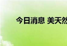 今日消息 美天然气主连合约大跌5%