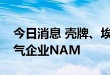 今日消息 壳牌、埃克森拟出售荷兰主要天然气企业NAM