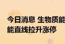 今日消息 生物质能发电板块午后异动 华光环能直线拉升涨停