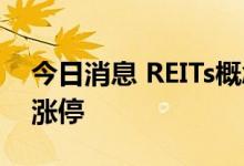 今日消息 REITs概念午后异动拉升 南山控股涨停