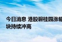 今日消息 港股碧桂园涨幅扩大至10% 房地产及物业管理板块持续冲高