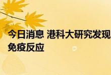 今日消息 港科大研究发现：天花疫苗能产生对猴痘病毒强烈免疫反应