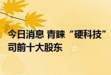 今日消息 青睐“硬科技” 逾200家政府引导基金成科创板公司前十大股东