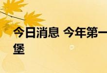 今日消息 今年第一万列中欧班列抵达德国汉堡