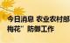 今日消息 农业农村部部署今年第12号台风“梅花”防御工作