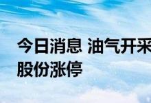 今日消息 油气开采及服务板块异动拉升 仁智股份涨停