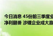 今日消息 45份前三季度业绩预告亮相：8家公司预计三季报净利翻番 涉锂企业成大赢家