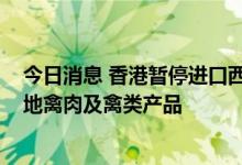 今日消息 香港暂停进口西班牙卡斯蒂利亚-拉曼查自治区一地禽肉及禽类产品