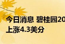 今日消息 碧桂园2024年到期8％债券每1美元上涨4.3美分