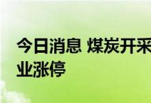 今日消息 煤炭开采加工板块异动拉升 安源煤业涨停