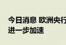 今日消息 欧洲央行管委霍尔茨曼：通胀势将进一步加速
