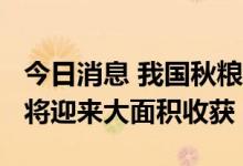 今日消息 我国秋粮收获超1.4亿亩，全国秋粮将迎来大面积收获
