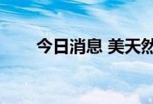 今日消息 美天然气主连合约大跌4%