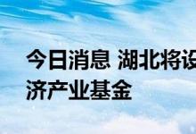 今日消息 湖北将设总规模逾100亿元数字经济产业基金
