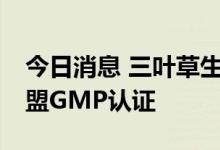 今日消息 三叶草生物-B新冠候选疫苗获得欧盟GMP认证