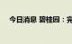 今日消息 碧桂园：完成发行15亿元中票