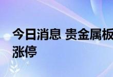 今日消息 贵金属板块异动拉升 园城黄金拉升涨停