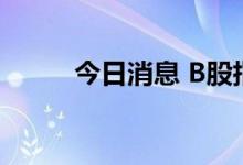 今日消息 B股指数午后跌幅达7%