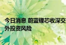 今日消息 蔚蓝锂芯收深交所问询函，要求充分论证并提示海外投资风险