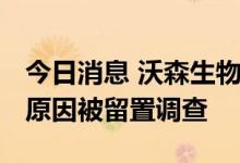 今日消息 沃森生物：解聘董秘张荔 其因个人原因被留置调查