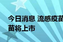 今日消息 流感疫苗迎接种旺季，多款四价疫苗将上市