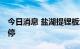 今日消息 盐湖提锂板块异动拉升 金圆股份涨停