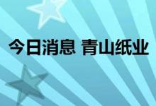 今日消息 青山纸业：拟建设碱回收技改项目