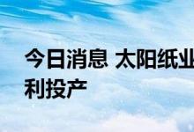 今日消息 太阳纸业：两条生活用纸生产线顺利投产