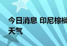 今日消息 印尼棕榈主产区将迎来暴雨和雷暴天气