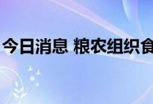 今日消息 粮农组织食品价格指数9月继续回落