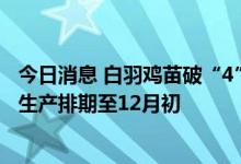 今日消息 白羽鸡苗破“4”创年内新高 益生股份：供应偏紧生产排期至12月初