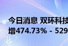 今日消息 双环科技：预计前三季度净利同比增474.73% - 529.85%