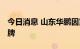 今日消息 山东华鹏因重要事项未公告 临时停牌