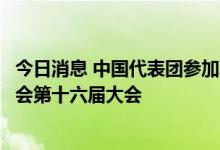 今日消息 中国代表团参加联合国全球卫星导航系统国际委员会第十六届大会