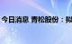 今日消息 青松股份：拟定增募资不超4.5亿元