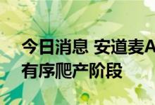今日消息 安道麦A：安道麦辉丰目前正处于有序爬产阶段