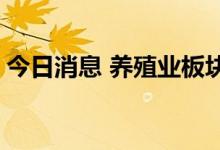 今日消息 养殖业板块持续走强 中水渔业涨停