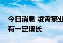 今日消息 凌霄泵业：公司配套热泵产品销售有一定增长