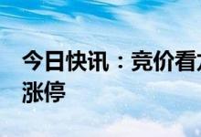 今日快讯：竞价看龙头：4连板安妮股份一字涨停
