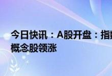 今日快讯：A股开盘：指数沪强深弱，送转填权、年报预增概念股领涨
